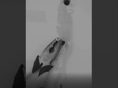 Silikondichtungsmittel